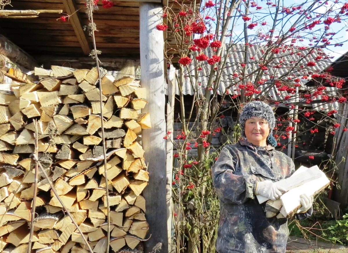 Заготовка дров. Дрова на зиму. Дрова в деревне. Дрова заготавливают.