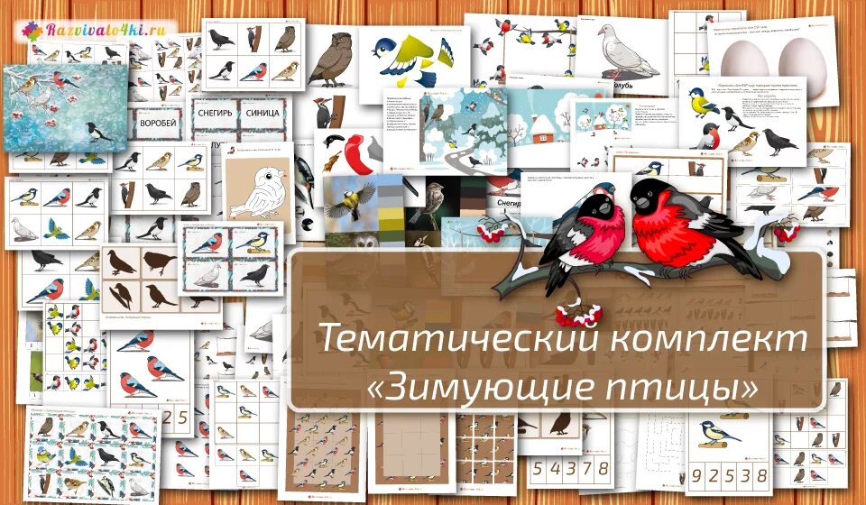 Тематическое планирование зимующие птицы. Тематический комплект птицы. тематический комплект для малышей птицы. тематический комплект птицы зимой. набор зимующих птиц.