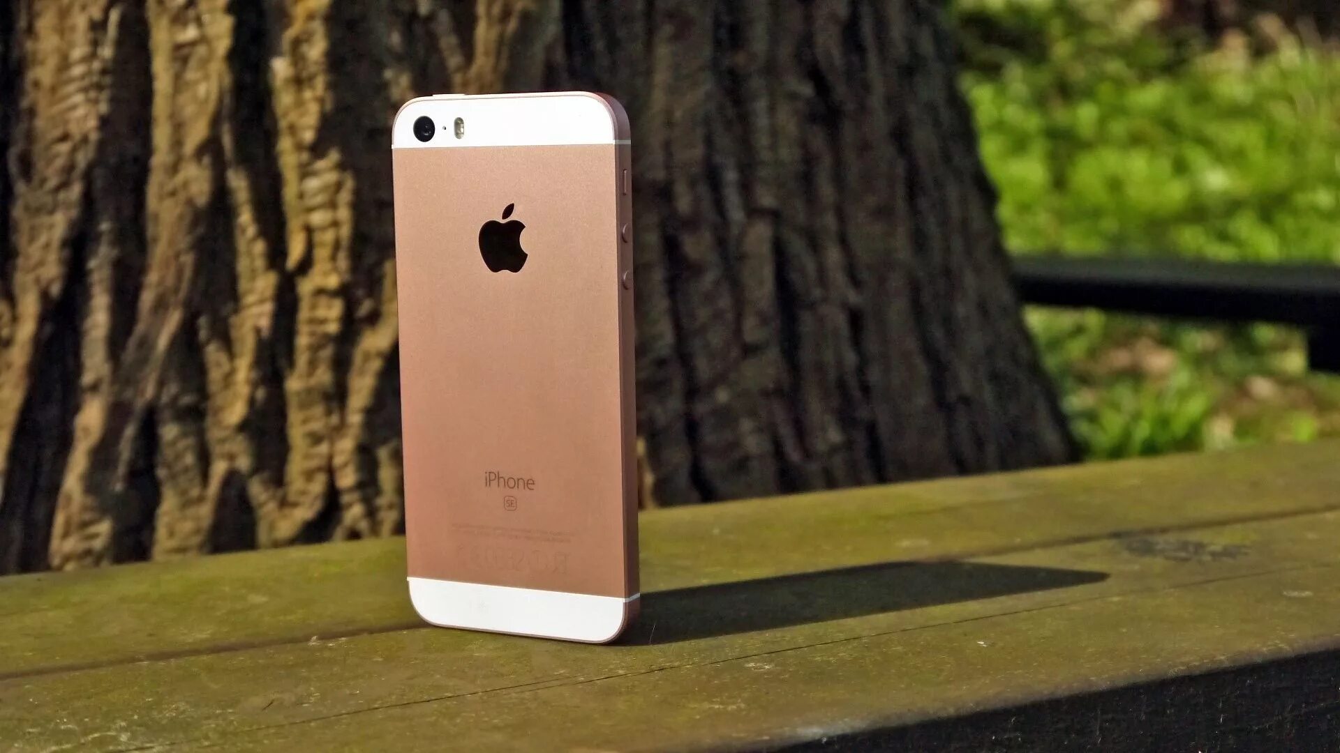 Даже айфон. Айфон se 3. айфон 6 se. iphone se gen 3. iphone se 3 фото.
