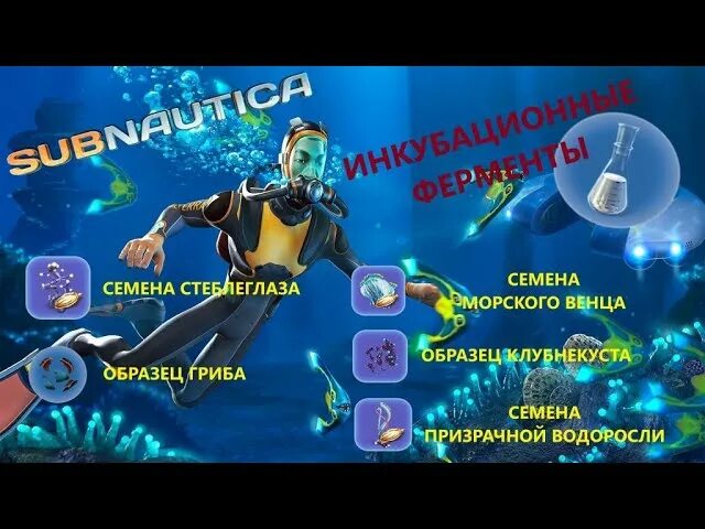 Subnautica инкубационные ферменты. Семена морского венца в Subnautica. Семена призрачной водоросли в Subnautica. Семена стеблеглаза в Subnautica. Инкубационные ферменты Subnautica.