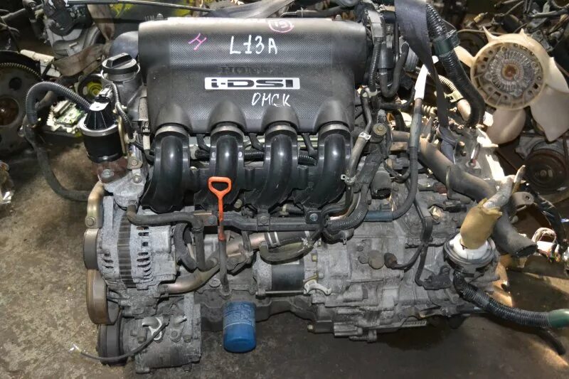 Двигатель Хонда l13a. Honda Fit мотор l15a. Хонда фит l13a. Двигатель l13b Honda Fit.