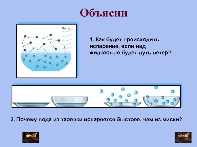 Почему бывает быстрая. Почему бывает быстрая