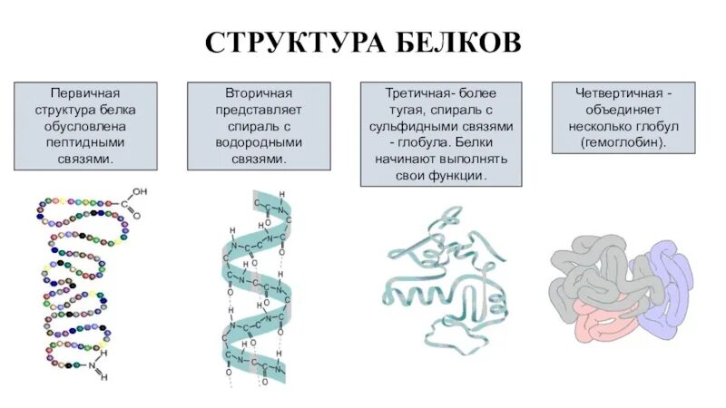 Химическая связь вторичной структуры