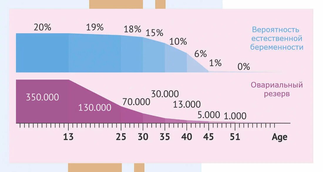 Естественно насколько. Вероятность забеременеть в 40 лет. Вероятность беременности. Вероятность зачатия в зависимости от возраста. Фертильность женщины в зависимости от возраста.