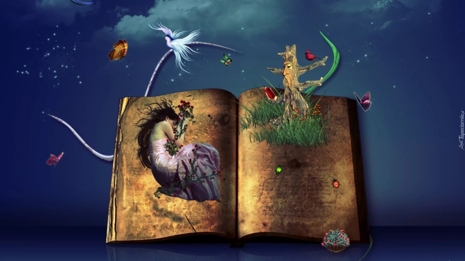 Красивая книга сказок. Иллюстрации к книгам. Фантастические книги для детей. Волшебная книга для детей. Красивые иллюстрации к книгам.