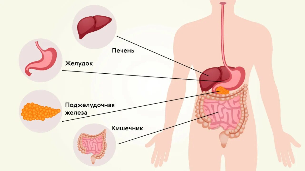 Болит желудок после еды. Быстрые боли в желудке