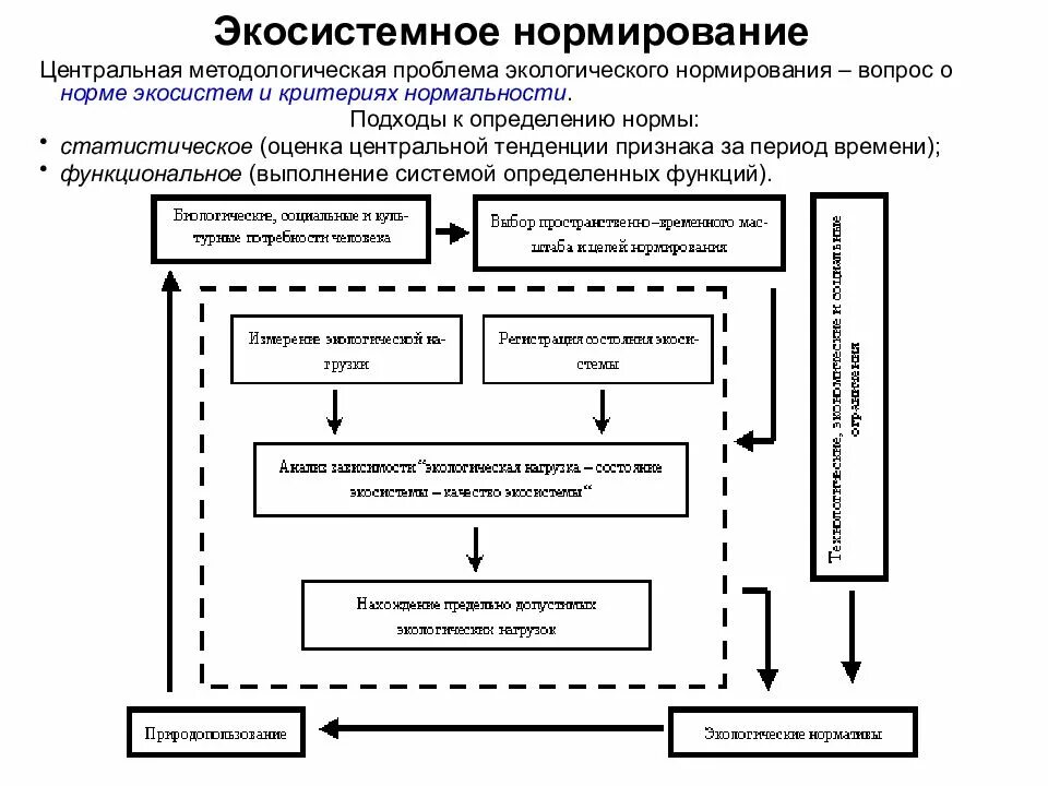 Направления экологического нормирования. Система экологических нормативов схема. принципиальная блок-схема экологического нормирования. принципы экосистемного нормирования. экологическое нормирование.