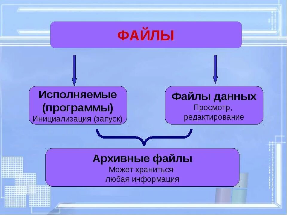 Исполнимые файлы. Исполнявший информация. Архитектура системы баз данных. Классификация по. Типы файлов название в информатике.