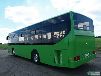 Автобус ромашка