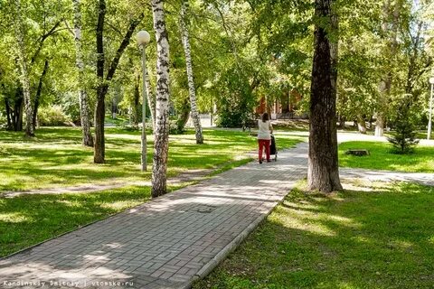 Благоустройство томск