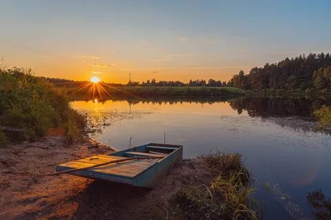 Зеленый берег реки