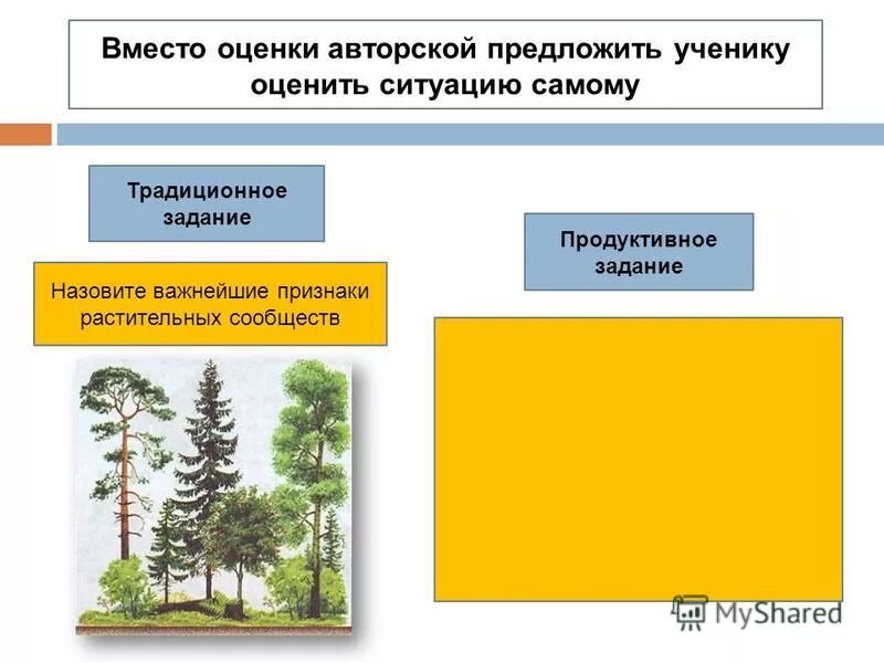 Признаки растительных сообществ