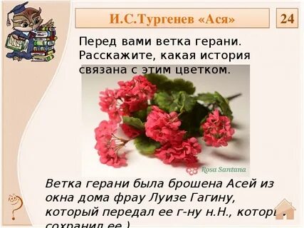 Тест по литературе цветок на земле