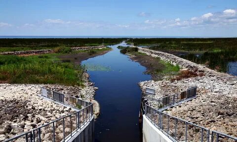 Водохозяйственная рекультивация