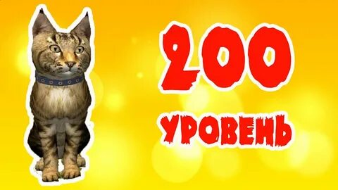 Канал кошечка