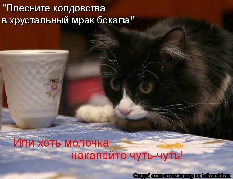 плесните колдовства в хрустальный мрак. плесните колдовства в хрустальный мрак. напрасные слова рубальская. плесните колдовства в хрустальный мрак. лариса рубальская.