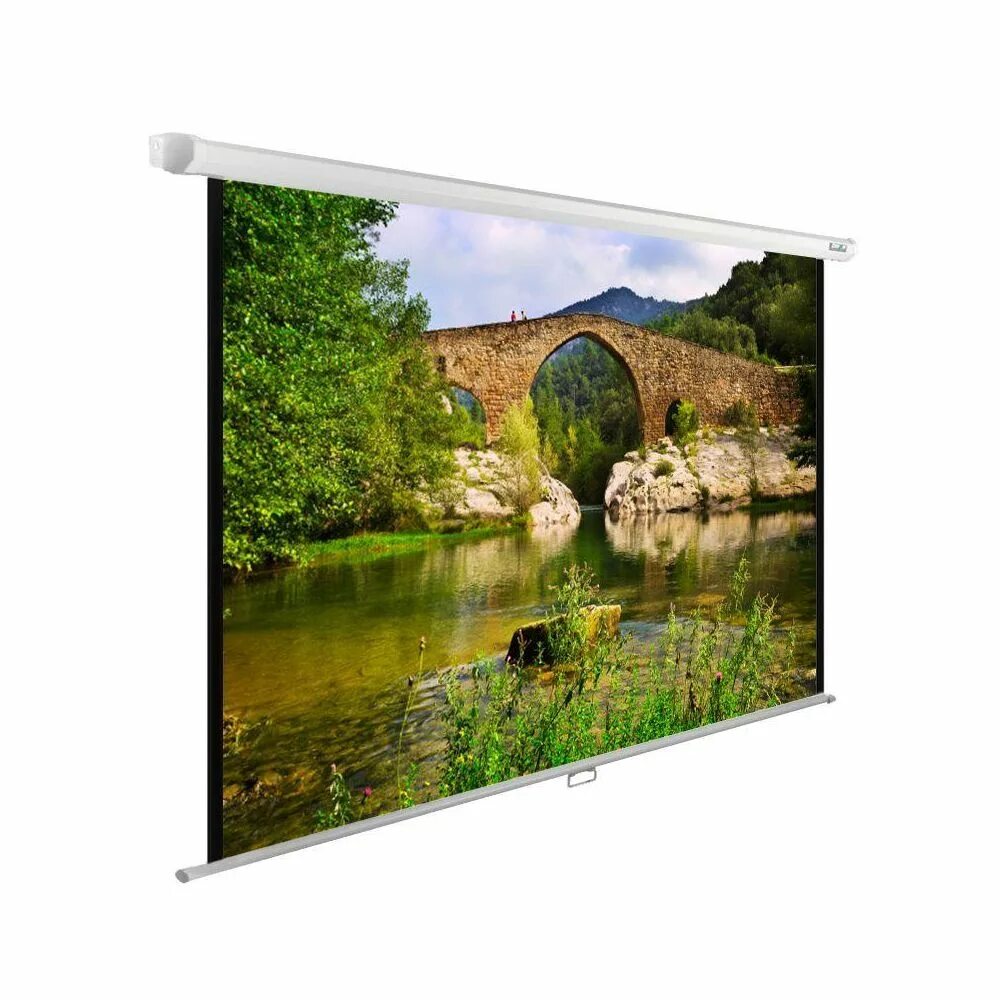 Экран cactus silvermotoexpert cs pssme. Cactus WALLEXPERT CS-PSWE-220x165-WT. Экран для проектора Cactus Expert. Cactus CS-PSWE-220x220-WT. CS-PSWE-220x220-WT.
