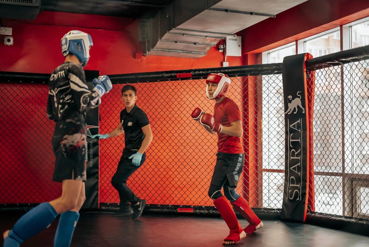 единоборства балашиха. единоборства балашиха. сбе мма "кубок города новосибирска". федерация мма балашиха. единоборства балашиха.