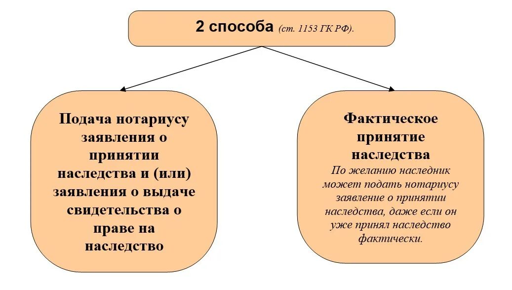 Способы принятия наследства схема. Схема два способа принятия наследства. Способы принятия наследства ГК РФ. Способы и сроки принятия наследства кратко. Нотариус фактическое принятие наследства