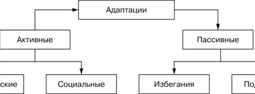 Активное и пассивное основание