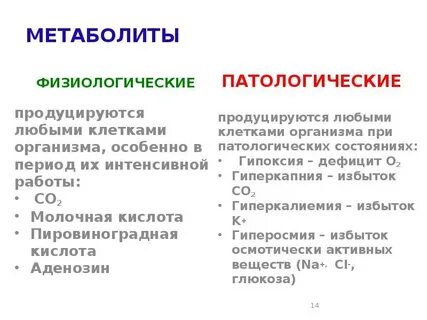 Регуляция физиологических функций