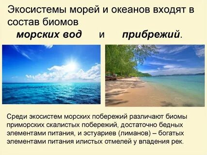 Экологическая система моря