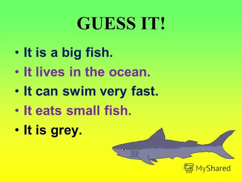 He can swim very fast he. He can swim very fast he. Can swim животные. We life a period of the very fast. He can swim very fast he.