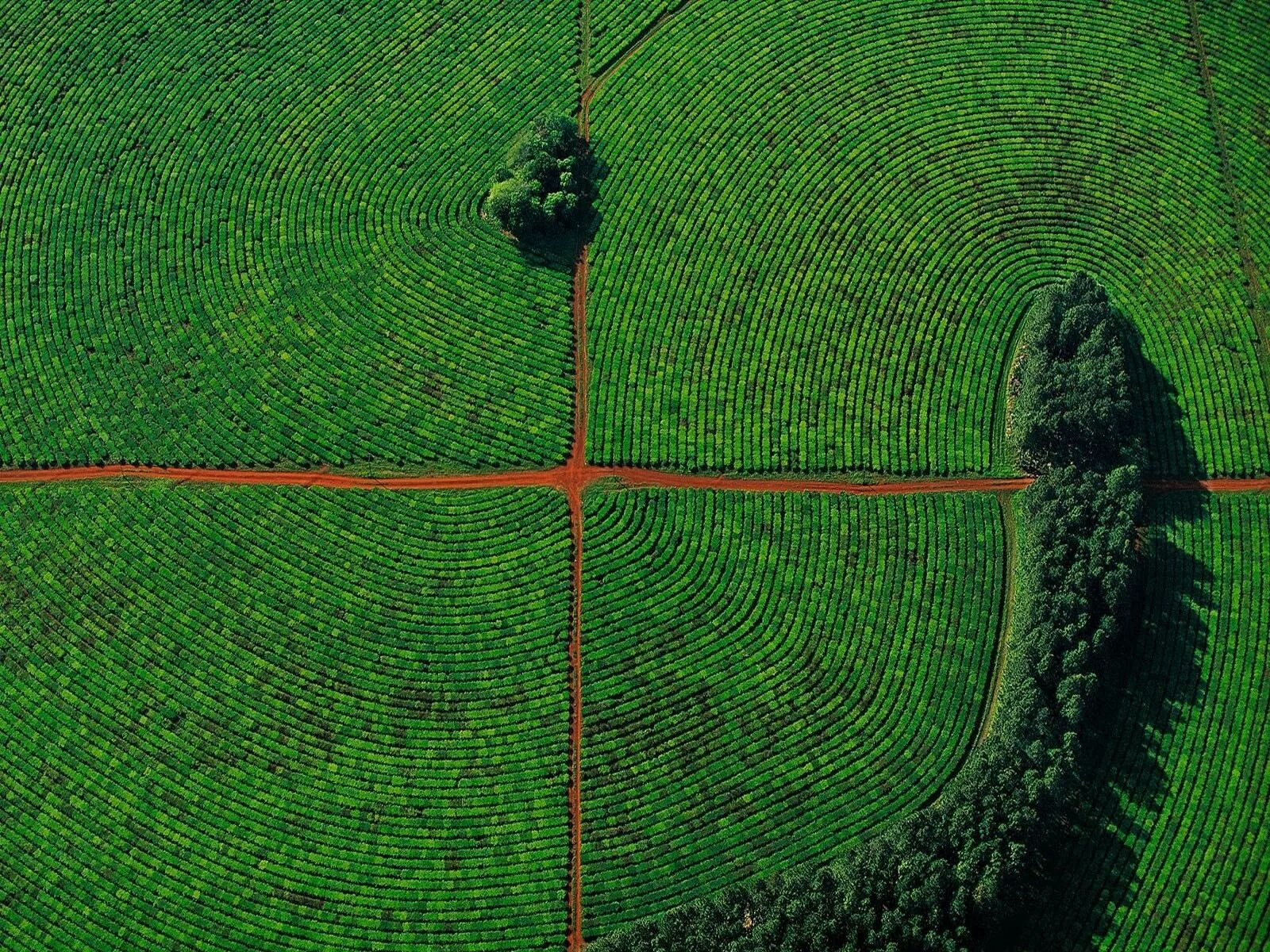 Три поля. Yann Arthus-Bertrand. Фотограф Ян Артюс-Бертран. Аэрофотографии земли Ян Артюс. Ян Артюс Бертран (звезда Востока).