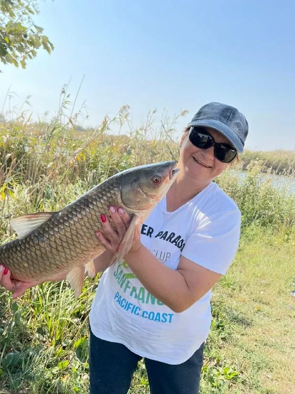 раскаты волги. озеро аткуль челябинская область рыбалка. рыбалка абинск крымск. карасей выпустили в озеро. карагуш озеро челябинская.