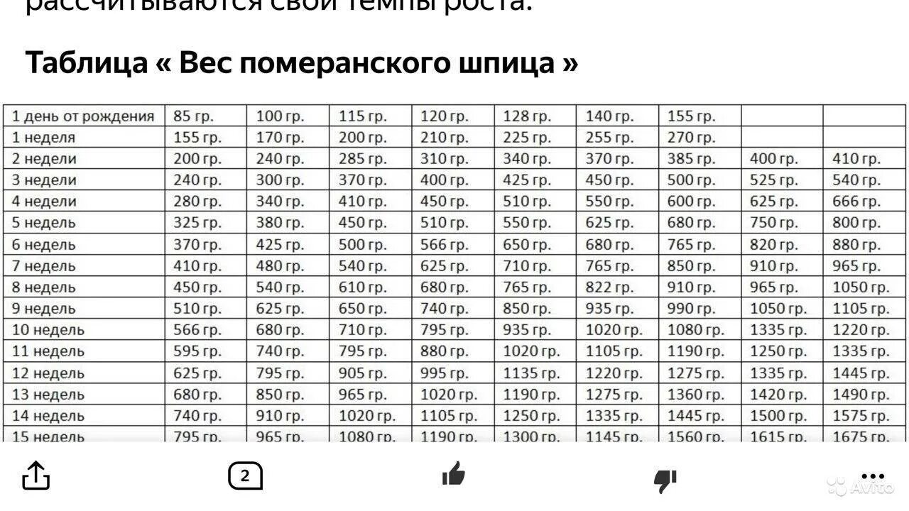 Картинки ВЕС НЕМЕЦКОЙ ОВЧАРКИ В ГОД