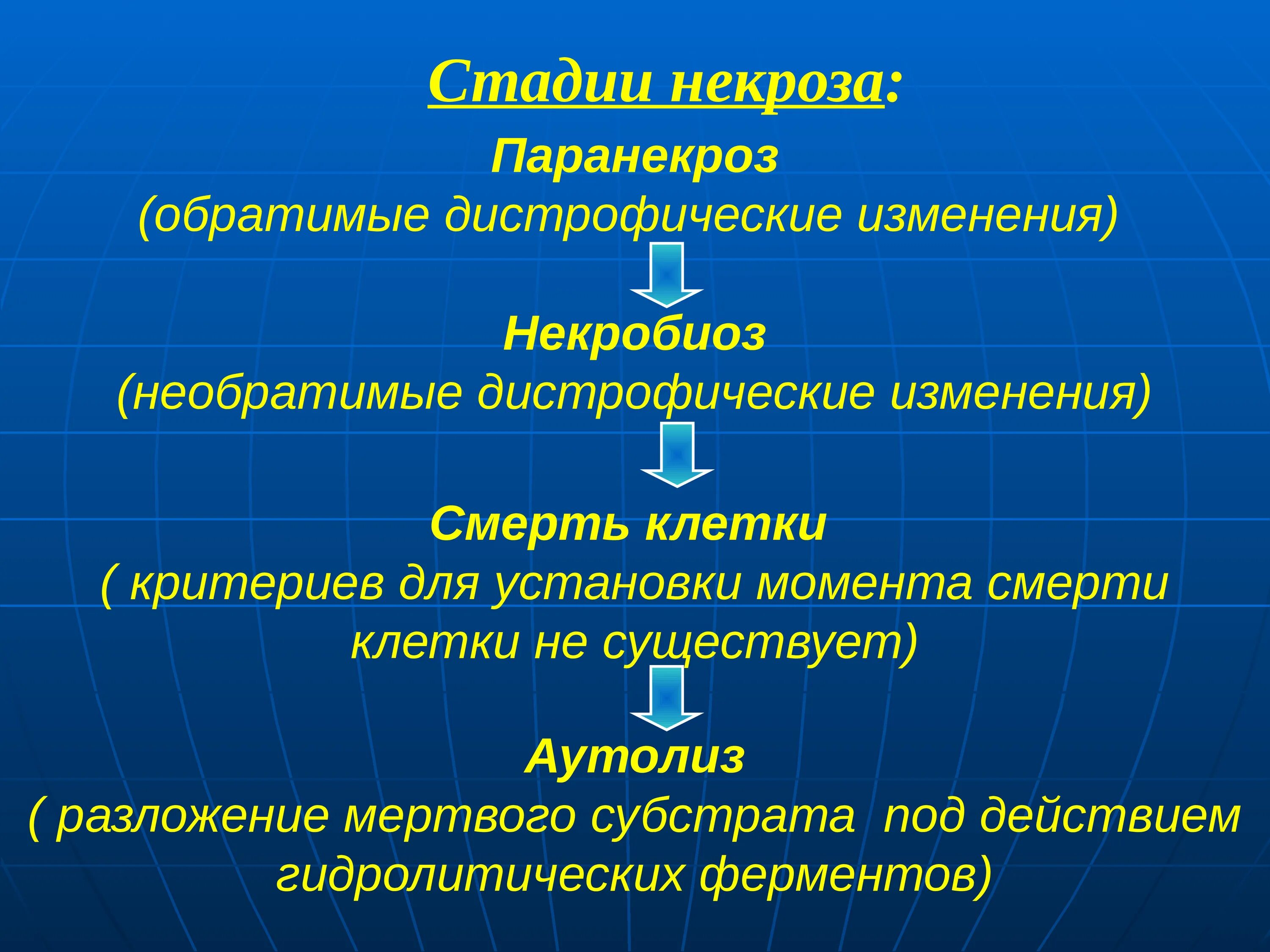 Этапы некроза. Фазы некроза. Некроз и паранекроз. Паранекроз и некробиоз. Необратимые изменения клетки