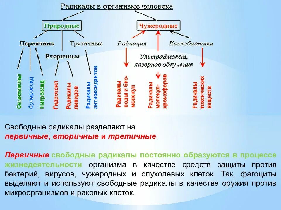 Высшие радикалы. Первичные свободные радикалы. Первичные вторичные радикалы. Первичные и вторичные свободные радикалы. Первичные радикалы в организме.