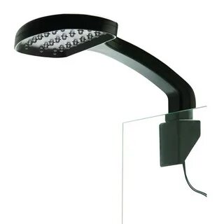 Led day
