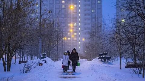 Погода на предстоящую зиму