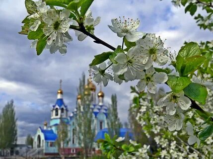 В апреле пройдет