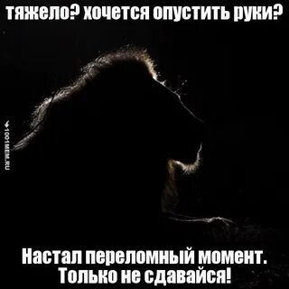 Опустить или отпустить