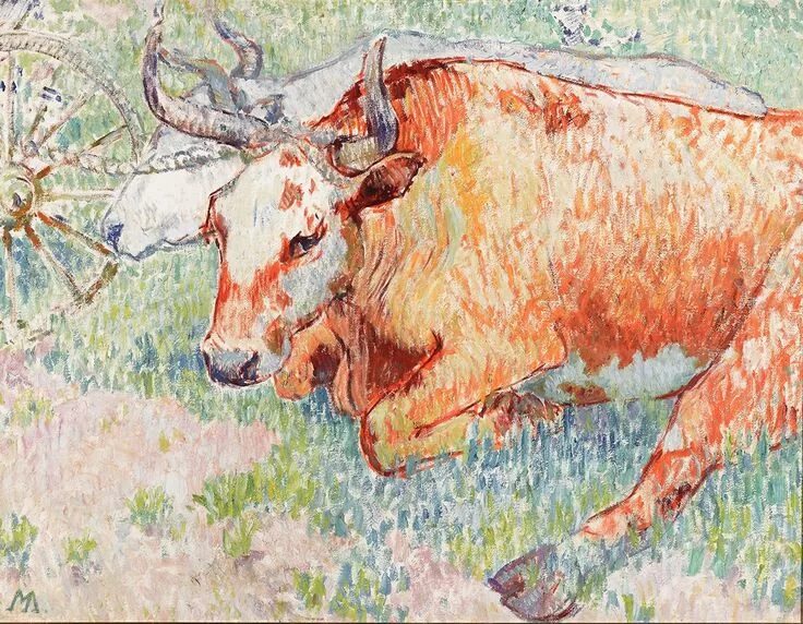 Вол бык. Техас лонгхорнс бык. Бычок с рогами. Серая украинская порода коров. Корова с челкой.