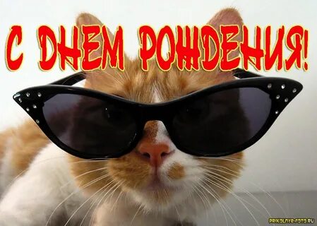 Фото прикольные открытки с днем рождением
