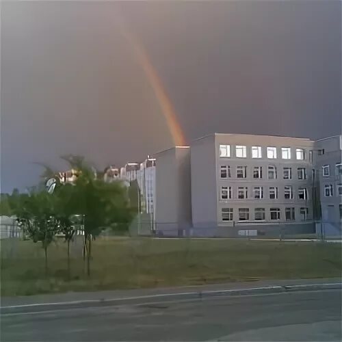 81 школа воронеж. школа 55 воронеж придонской. эмблема школы 55 воронеж придонской. школа 55 воронеж. школа 81 воронеж придонской.