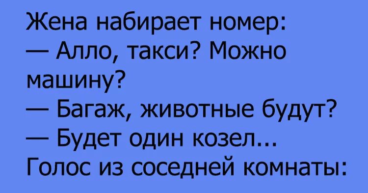 анекдоты про таксистов смешные. анекдоты про водителей такси. шутки про таксистов. анекдоты про таксистов. смешные анекдоты про такси.