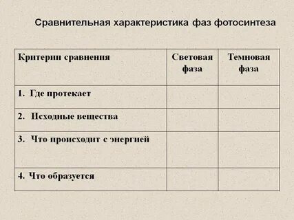 Установите соответствие процессами и стадиями фотосинтеза