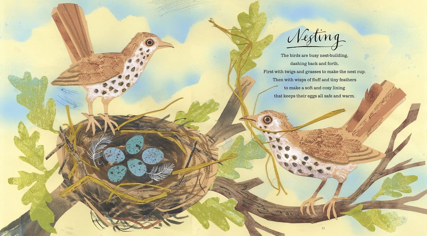 Стих про гнезда птиц. Иллюстрации детских книг о природе. Птицы и их гнёзда картинки. Гнездо птицы картинки для детей.