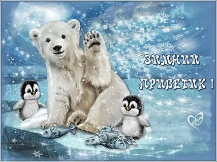 Картинки снежные доброго дня