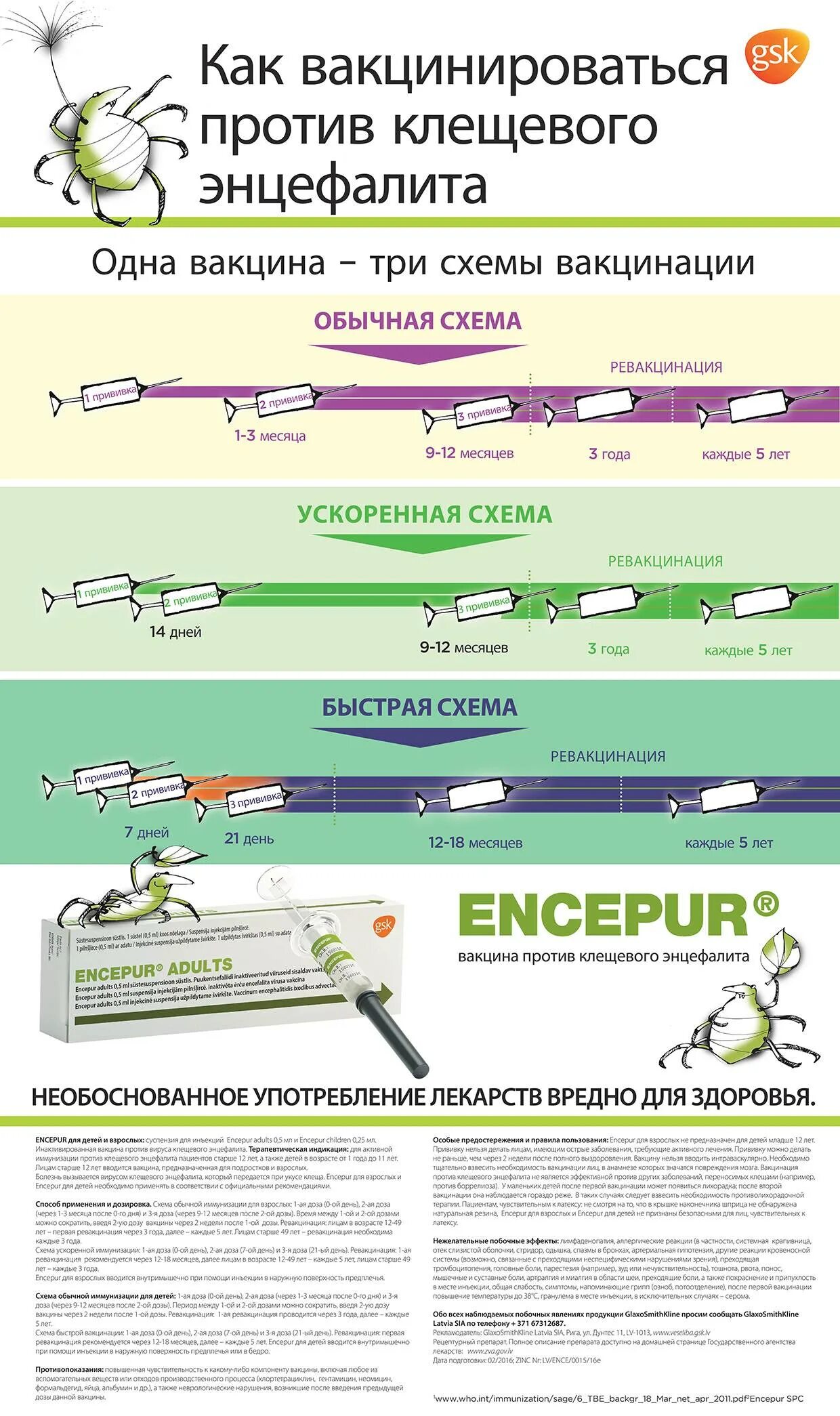 Прививка от клеща детям со скольки лет. Вакцина против клещевого энцефалита схема вакцинации. Клещевой энцефалит схема вакцинации клещевого. Клещевой энцефалит схема вакцинации и ревакцинации. Прививки клещевой энцефалит схема.