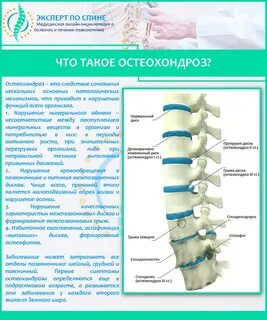Какой врач лечит грыжу позвоночника