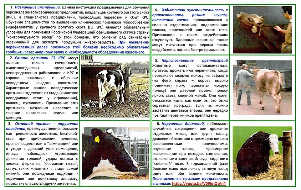В каких случаях можно давать
