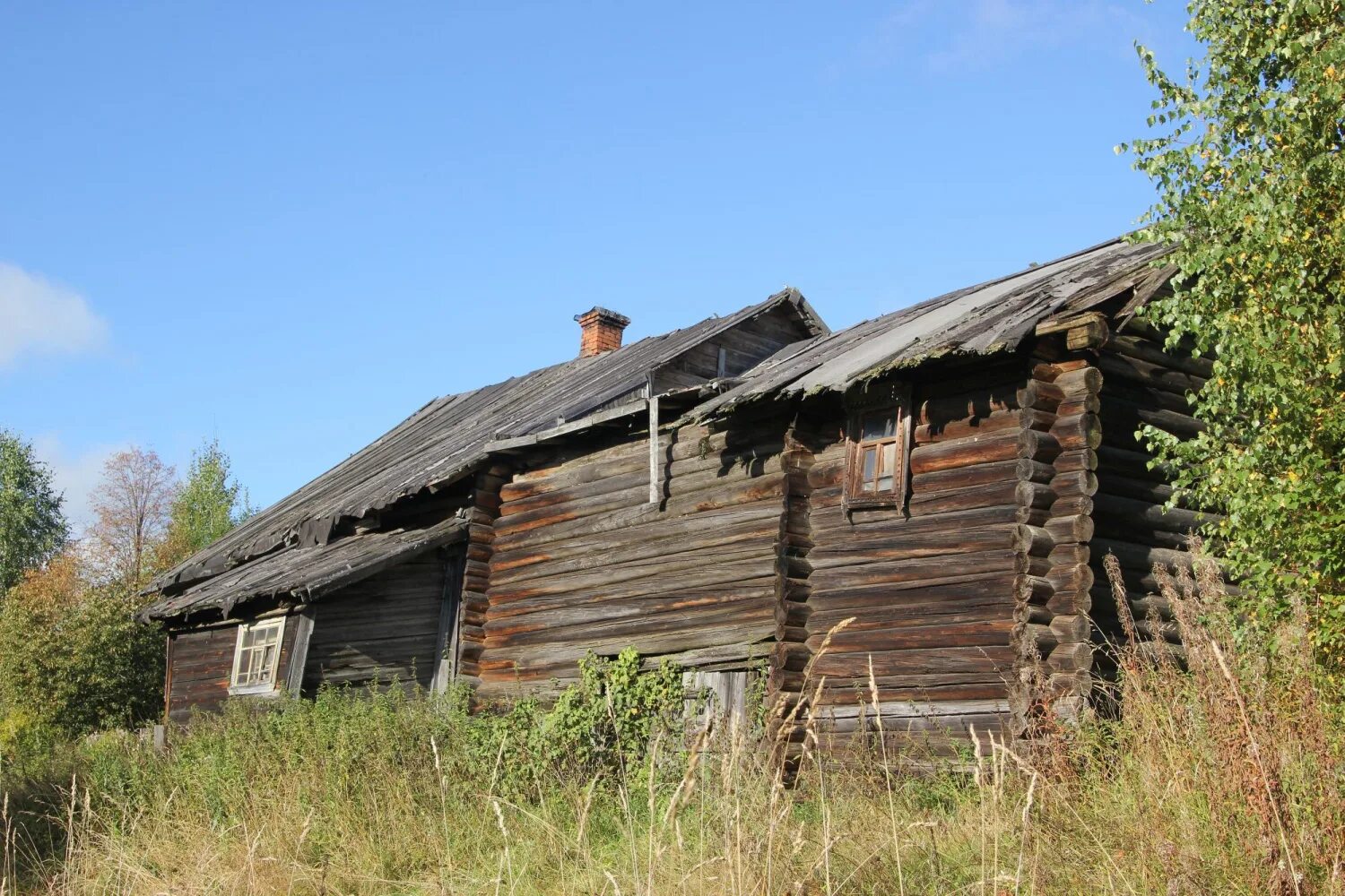Деревня павлово. Кологривский район деревня каменка. Село павловское костромской области основания. Деревня павлово. Деревня павлово.