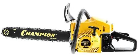 Champion 251