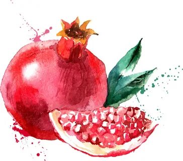 Фрукты нарисованные акварелью