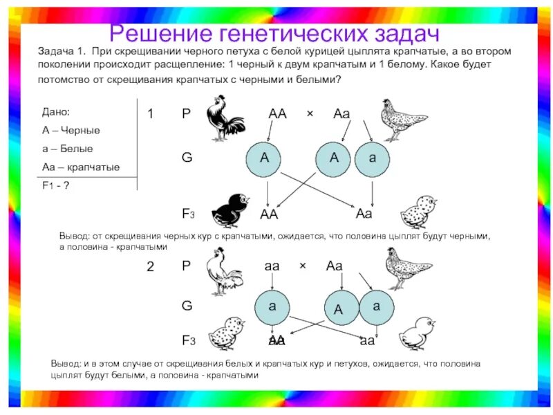 Сколько дает потомства. Схема решения задач по биологии генетика. Решение генетических задач. Составление схем скрещивания. Схема решения генетических задач. Схема оформления задач по генетике.